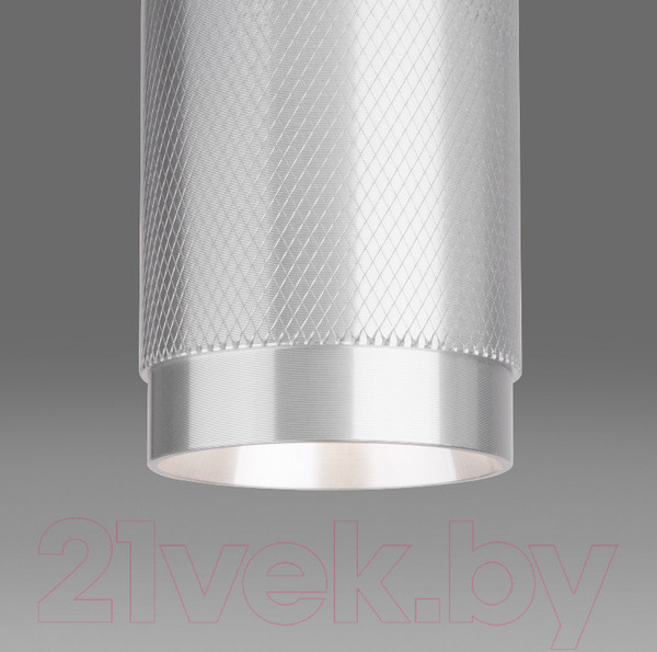 Изображение товара Точечный светильник Elektrostandard DLN109 GU10 (серебристый)