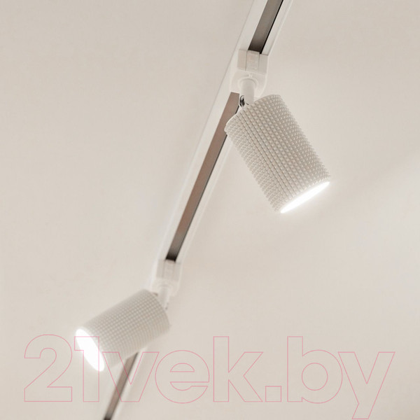 Изображение товара Трековый светильник Elektrostandard Spike GU10 MRL 1011 (белый)