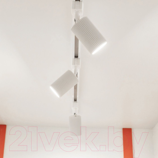 Изображение товара Трековый светильник Elektrostandard Spike GU10 MRL 1011 (белый)