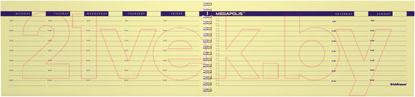 Изображение товара Планинг Erich Krause Megapolis / 44900