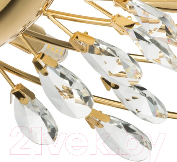 Изображение товара Люстра Lightstar Isabelle 791182