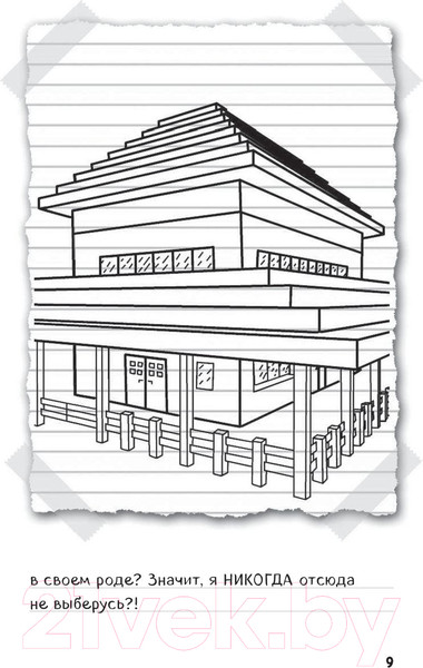 Изображение товара Книга Эксмо Дневник Стива. Конек-квадратноног