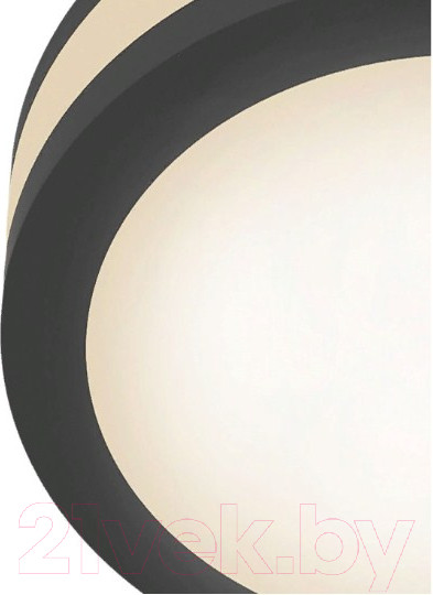 Изображение товара Потолочный светильник Maytoni Phanton DL303-L12B4K