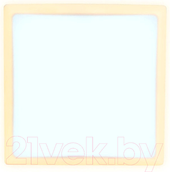 Изображение товара Потолочный светильник Ambrella DCR331