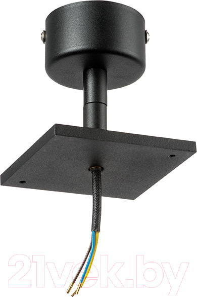 Изображение товара Потолочная база для светильника Lightstar Rullo 590217