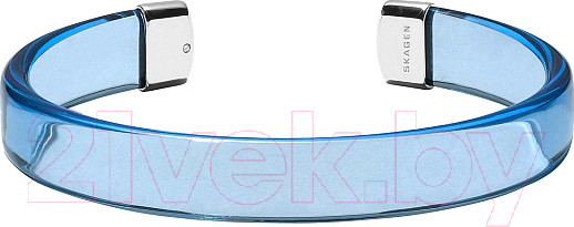 Изображение товара Браслет Skagen SKJ1321040