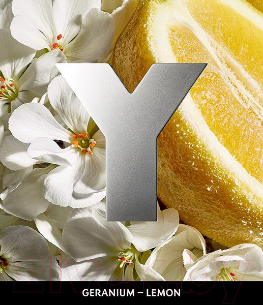 Изображение товара Туалетная вода Yves Saint Laurent Y Eau Fraiche for Men (100мл)