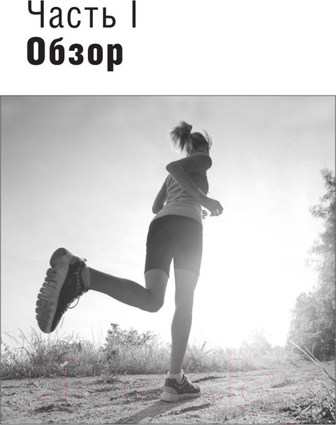 Изображение товара Книга Попурри 10 километров через 7 недель (Стюарт Б.)