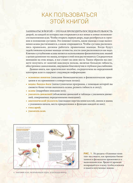 Изображение товара Книга Попурри Анатомия асан, раскрывающих бедра, и наклонов вперед (Лонг Р.)