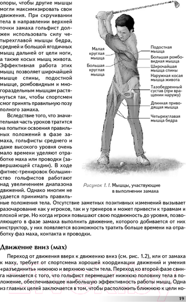 Изображение товара Книга Попурри Анатомия гольфа (Дэвис К., Сайя В.)