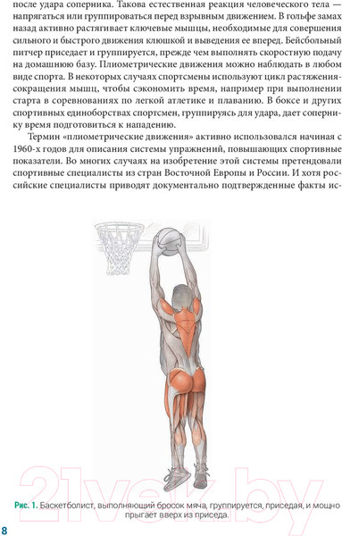 Изображение товара Книга Попурри Анатомия плиометрики (Хансен Д., Кеннели С.)