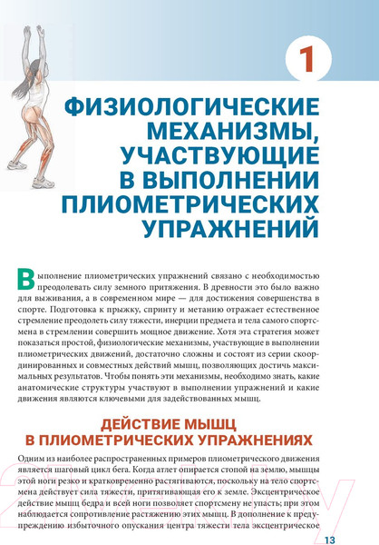 Изображение товара Книга Попурри Анатомия плиометрики (Хансен Д., Кеннели С.)