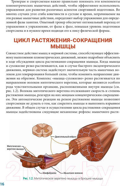 Изображение товара Книга Попурри Анатомия плиометрики (Хансен Д., Кеннели С.)
