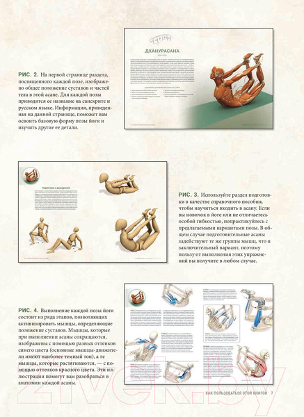 Изображение товара Книга Попурри Анатомия прогибаний и скручиваний (Лонг Р.)