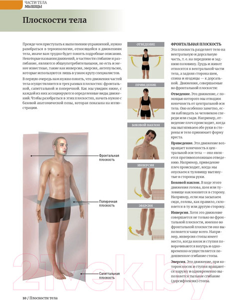 Изображение товара Книга Попурри Анатомия растяжки и 100 базовых упражнений