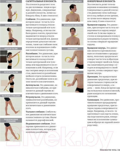 Изображение товара Книга Попурри Анатомия растяжки и 100 базовых упражнений