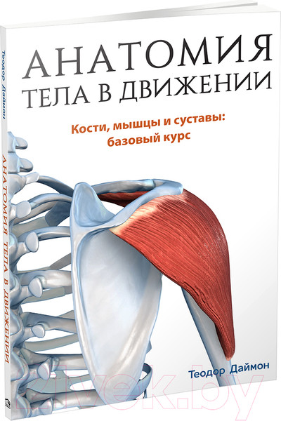 Изображение товара Книга Попурри Анатомия тела в движении (Даймон Т.)