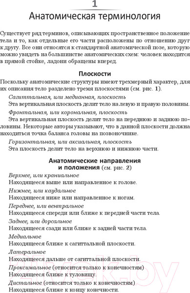 Изображение товара Книга Попурри Анатомия тела в движении (Даймон Т.)