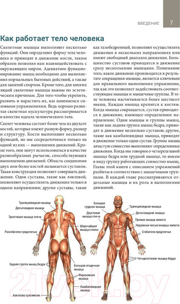 Изображение товара Книга Попурри Анатомия тренировок со свободными отягощениями (Джордж Р.)