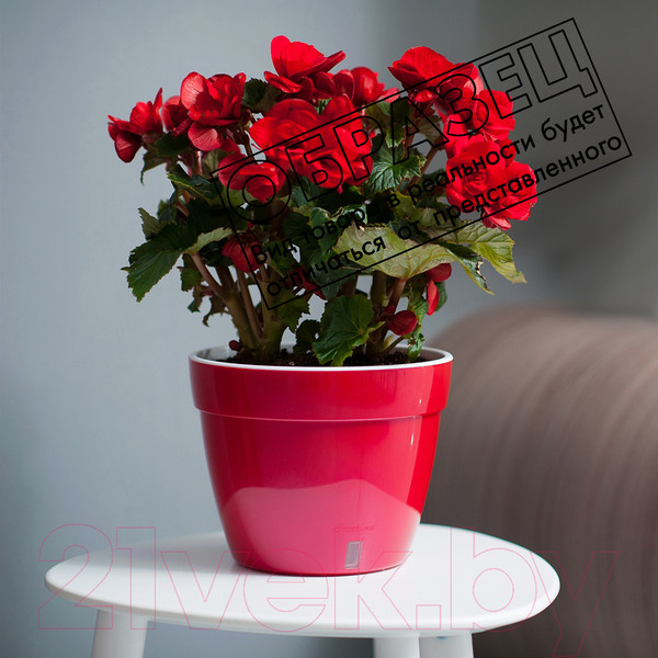 Изображение товара Вазон Santino Asti / AST25GLD/B двойной (золото/черный)