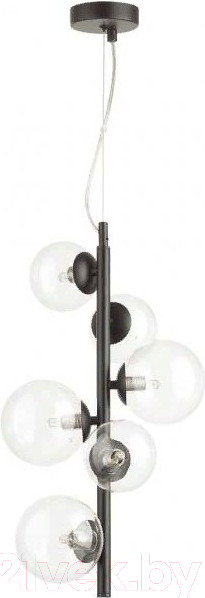 Изображение товара Люстра Odeon Light Tovi 4818/6