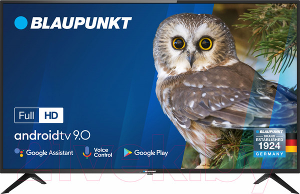 Изображение товара Телевизор Blaupunkt 43FE265T