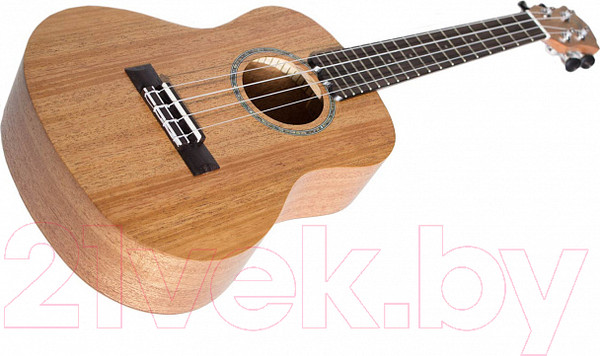 Изображение товара Укулеле Nalu N-530T (с чехлом)