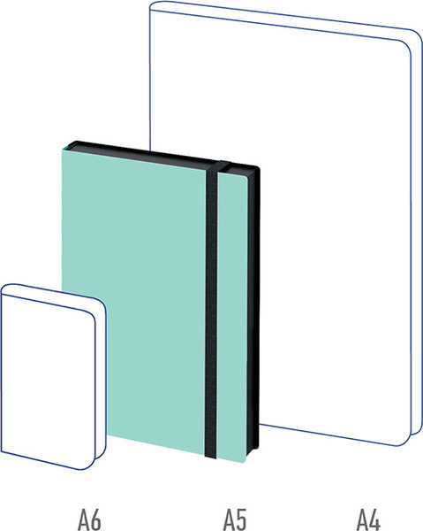 Изображение товара Ежедневник Berlingo Instinct UD0 91502 (136л, черный/мятный)