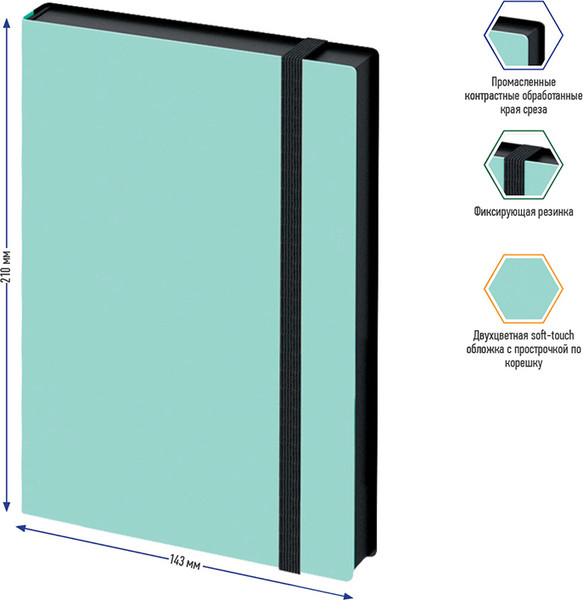 Изображение товара Ежедневник Berlingo Instinct UD0 91502 (136л, черный/мятный)