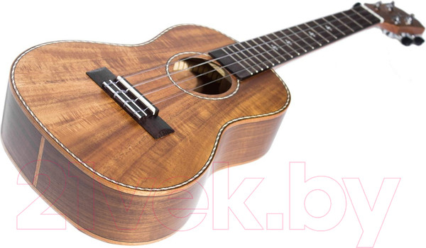 Изображение товара Укулеле Tom TUC-700 (с чехлом)