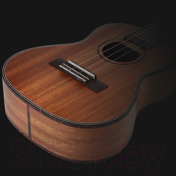 Изображение товара Укулеле Tom TUS-200 (с чехлом)