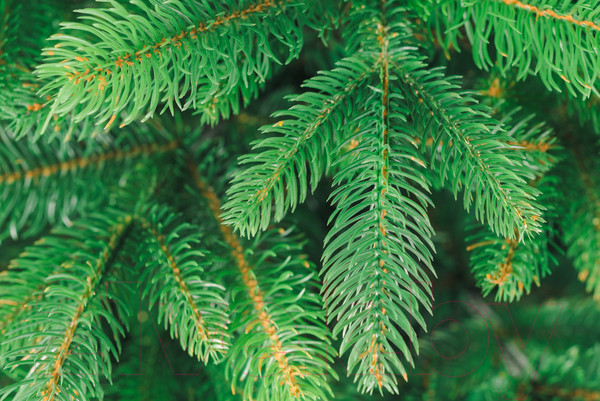 Изображение товара Ель искусственная Бифорес Дриада микс светлая / ДРМС 130