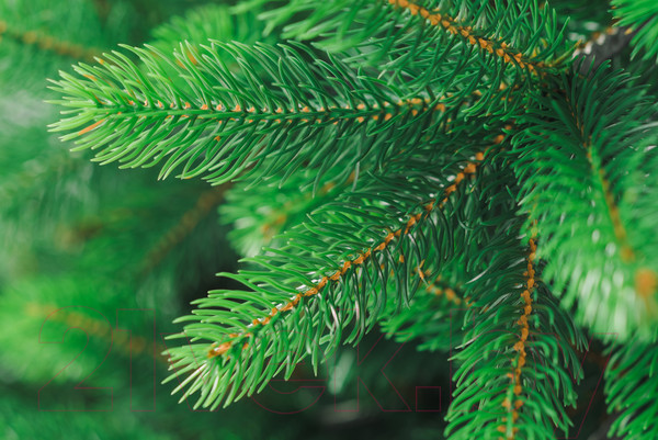 Изображение товара Ель искусственная Бифорес Премиум микс светлая / ПРМС 165