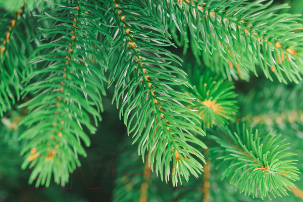 Изображение товара Ель искусственная Бифорес Премиум микс светлая / ПРМС 165