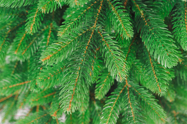 Изображение товара Ель искусственная Бифорес Крона микс светлая / КРМС 220