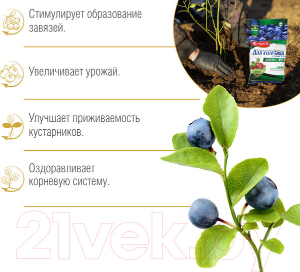 Изображение товара Удобрение Bona Forte Голубика с цеолитом BF23010271 (2.5кг)