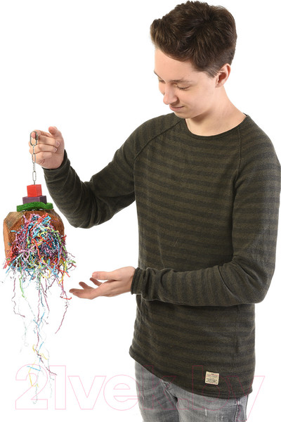 Изображение товара Игрушка для птиц Happy Bird Кокосовая забава 1 / H75074