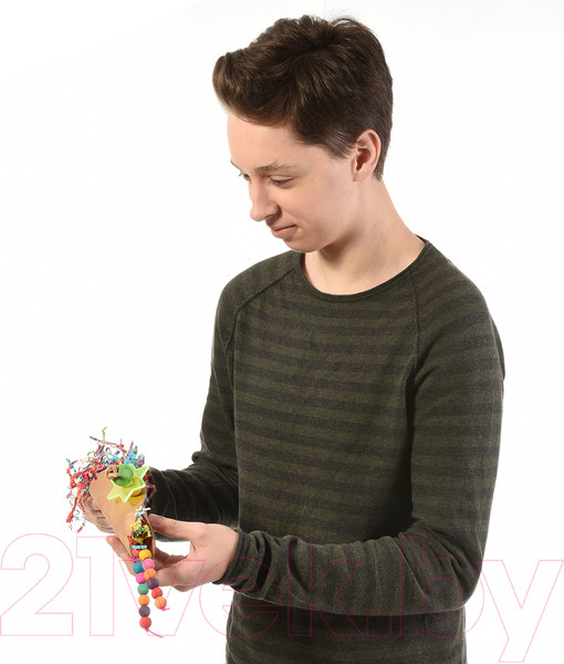 Изображение товара Игрушка для птиц Happy Bird Сюрприз / H75080