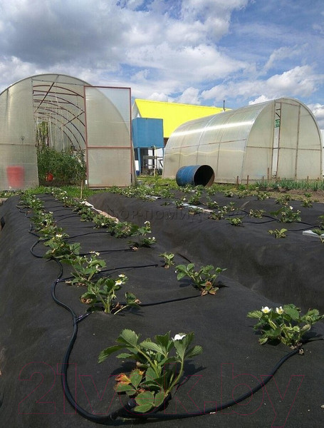 Изображение товара Система капельного полива Синьор Помидор 10009004 (без автоматики)