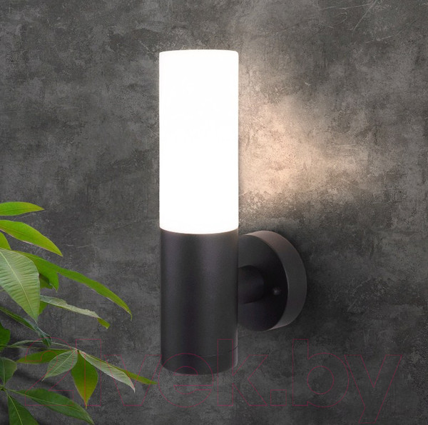 Изображение товара Бра уличное Elektrostandard 1418 Techno (черный)