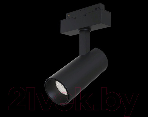 Изображение товара Трековый светильник Maytoni TR019-2-15W3K-B