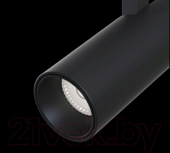 Изображение товара Трековый светильник Maytoni TR019-2-15W3K-B