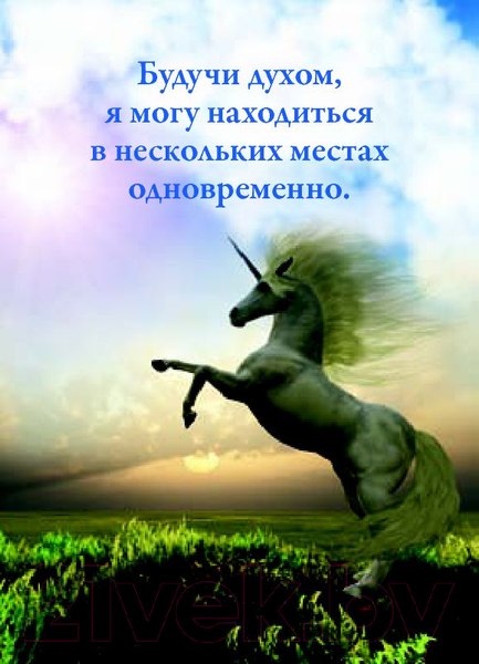 Изображение товара Книга Попурри Общение с Небесами (Вирче Д., Прааг Дж.)