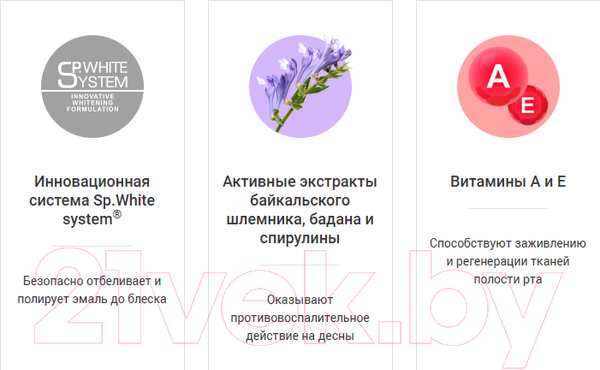 Изображение товара Зубная паста Splat Professional Актив (100мл)