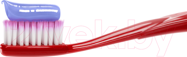 Изображение товара Зубная паста Splat Professional Лавандасепт (100мл)