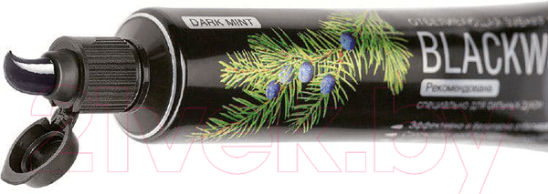 Изображение товара Зубная паста Splat Special Черное дерево (75мл)