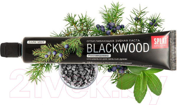Изображение товара Зубная паста Splat Special Черное дерево (75мл)