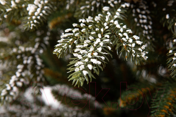 Изображение товара Ель искусственная GreenTerra Квебек (2.2м)