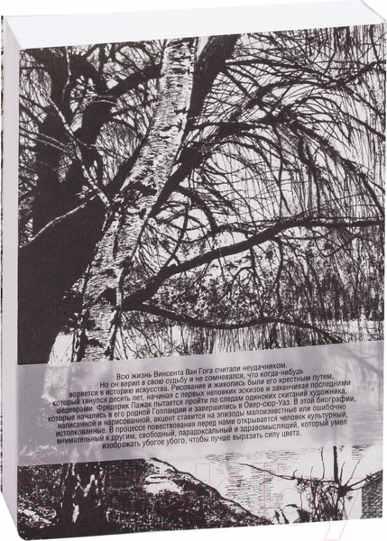 Изображение товара Книга Попурри Ван Гог. Иллюстрированная биография (Пажак Ф.)