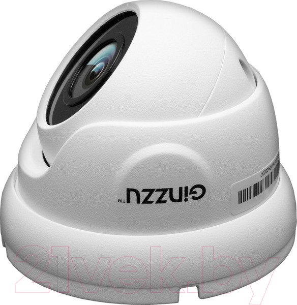 Изображение товара IP-камера Ginzzu HID-2302A